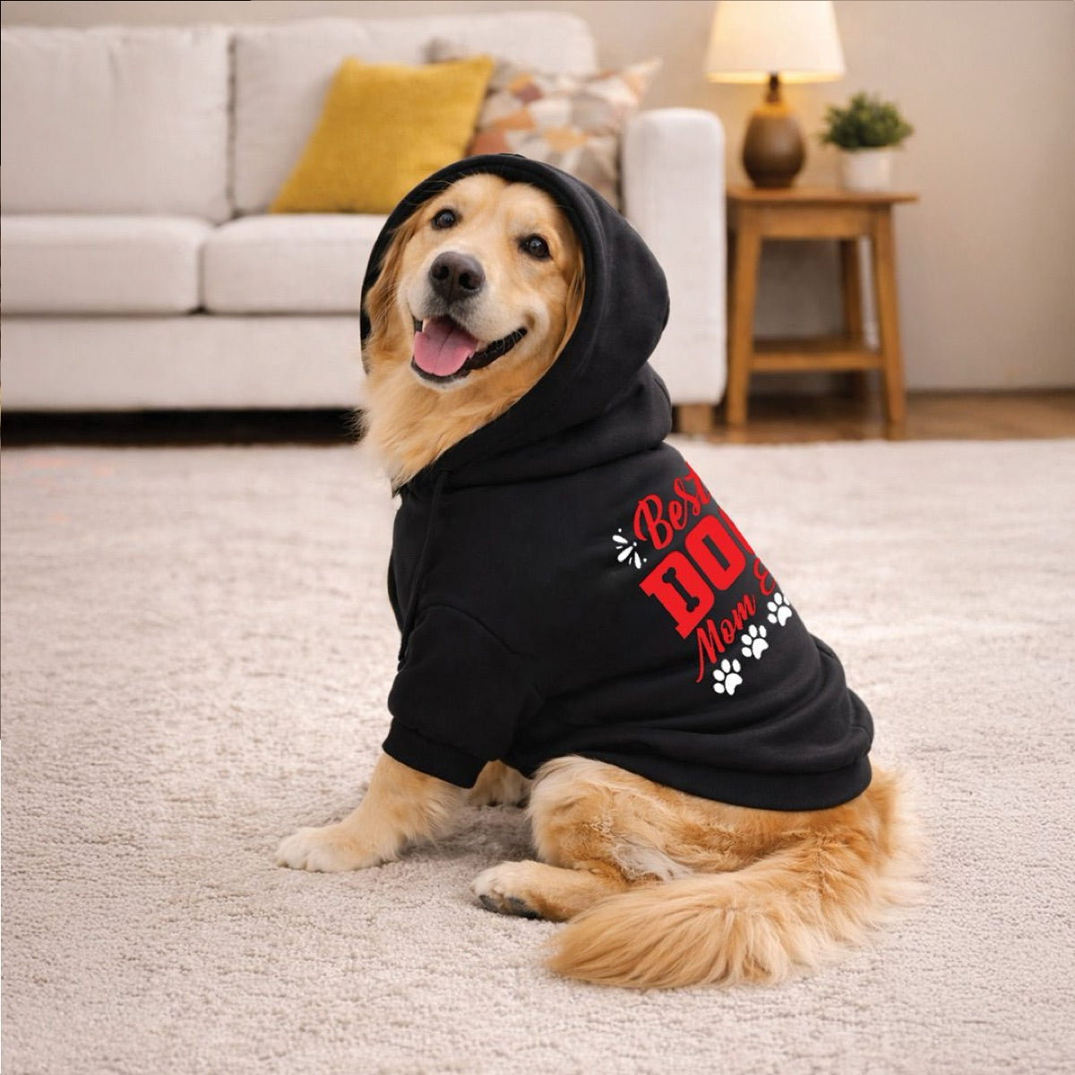 product info dog hoodie 2